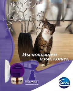 FELIWAY секрет кошачьего счастья